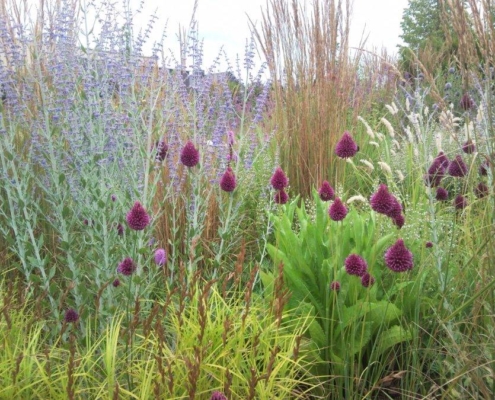 Beplantingsadvies voor tuin